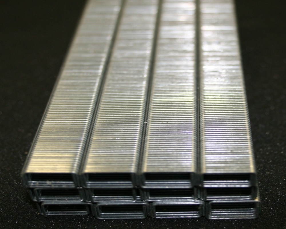 Shann Staple 80/08 Std 10,000